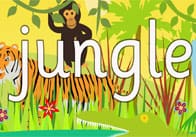 Jungle Display Poster