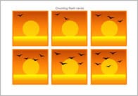Counting Flash Cards – Birds