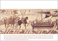 Bayeux Tapestry Picture