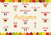 Multilingual Autumn Poster