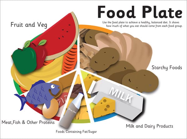 Eatwell Food Plate