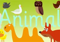 Animals Display Poster