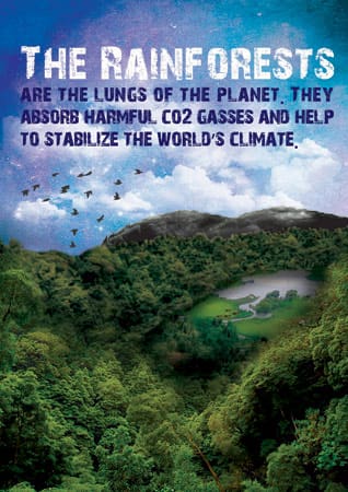Rainforest Poster