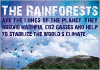 Rainforests Poster