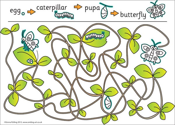 Butterfly Life Cycle Maze Puzzle