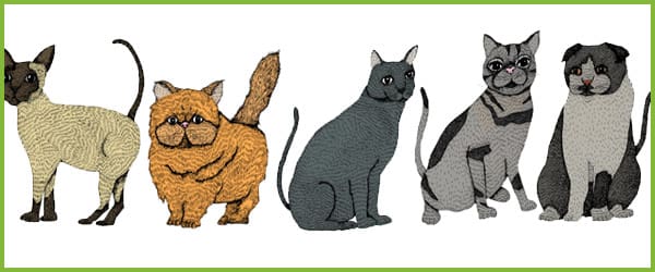 Cat Illustrations