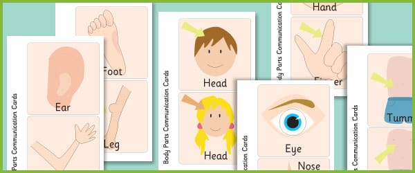 Body Parts Communication Flashcards