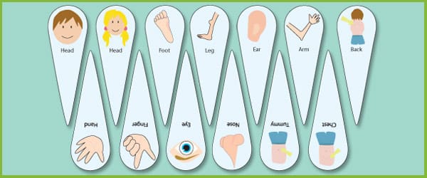 Parts Of The Body Communication Fans