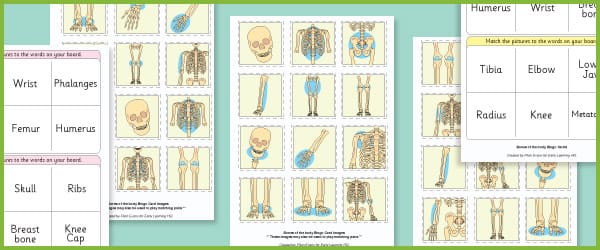 Bones Of The Body Bingo Cards