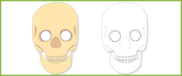 Skull Role-Play Masks