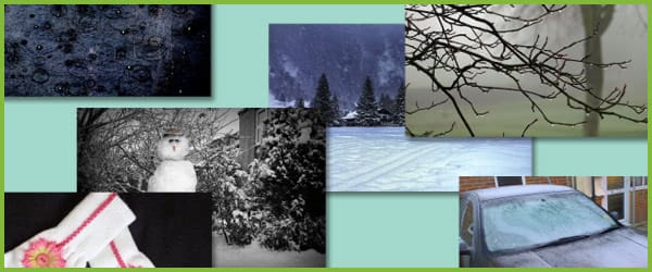 Winter Photo Pack / Collection