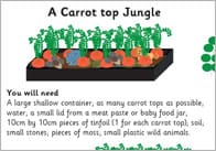 Carrot Top Jungle Activity