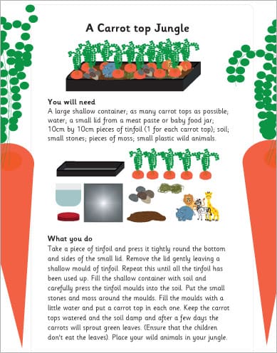 Carrot top jungle activity