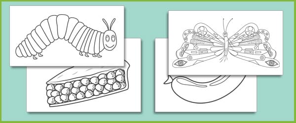 The Very Hungry Caterpillar Colouring Sheets