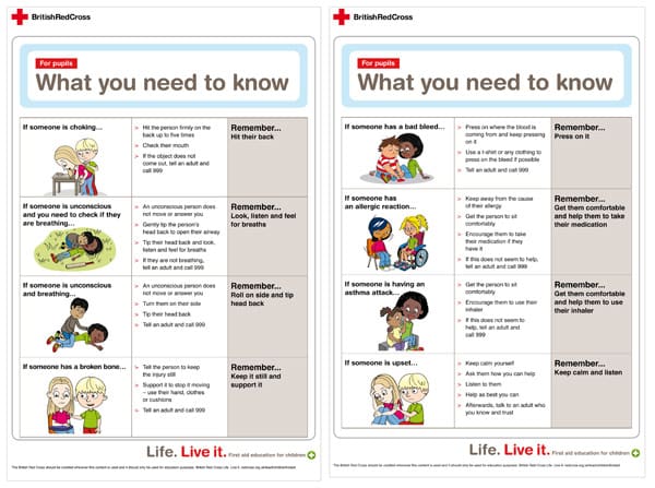 Red Cross First Aid Information Sheet