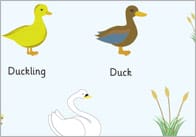 The Ugly Duckling Word Mats