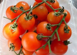 Do Tomatoes Grow Underground? – Children’s Misconceptions about the Origins of Food