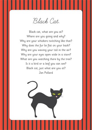 Black Cat Poem