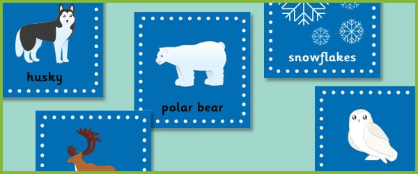 Polar regions flashcards
