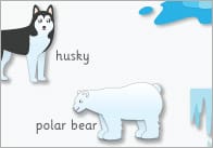 Polar Regions Word Mat
