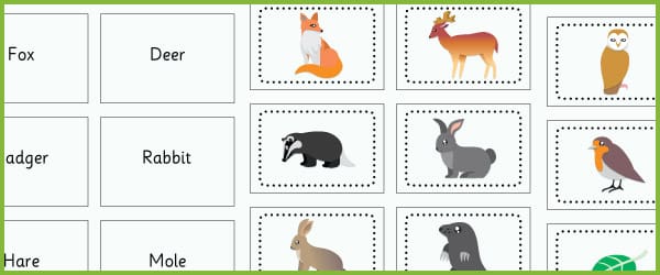 British Wildlife Flashcards