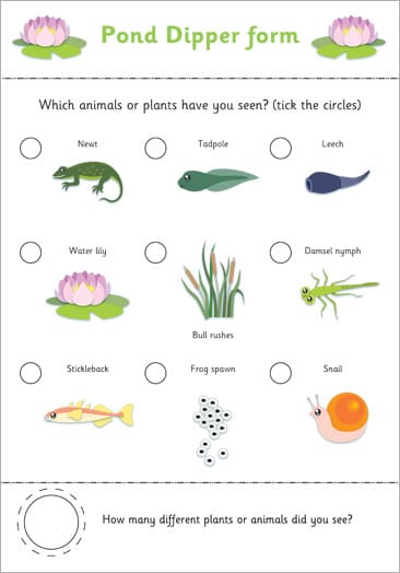 Pond Dipper Spotter Sheet