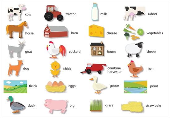 Farm Word Mat