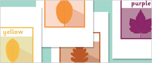 Autumn Leaf Colour Posters