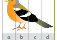 Bird Alphabet Puzzles