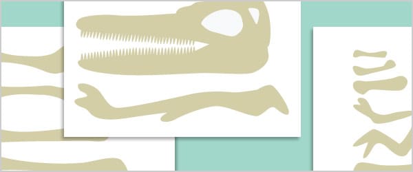Dinosaur Bone Size Sorting