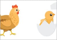 Life Cycle of a Hen Cut and Stick Activity