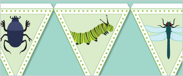 Minibeast Bunting