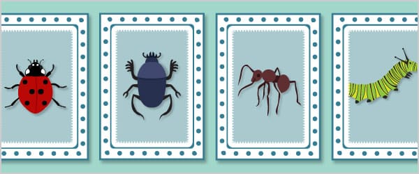 Minibeast Snap Cards / Matching Pairs