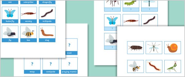 Minibeast Vocabulary Game