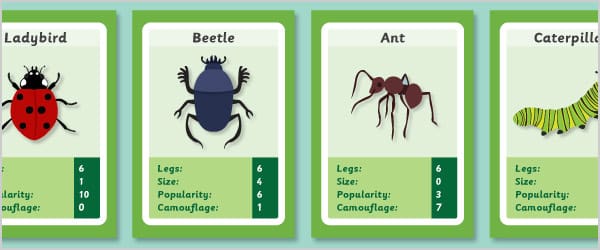 Minibeast Top Trumps Style Game