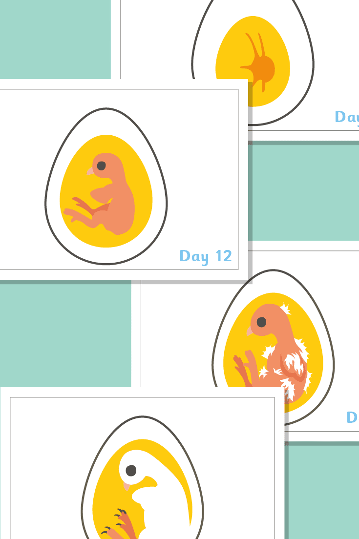 Printable Early Years Resources (EYFS & KS1) for Teachers & Parents