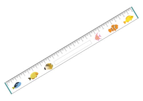 Fish Printable Rulers