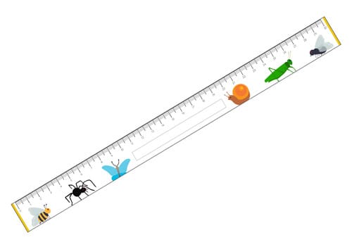 Minibeasts Printable Rulers