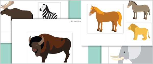 Animal Cut Outs for Size Sorting