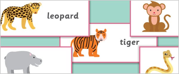 Exotic Animals Topic Cards