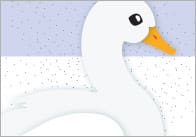 Life Cycle of a Duck Display Banner