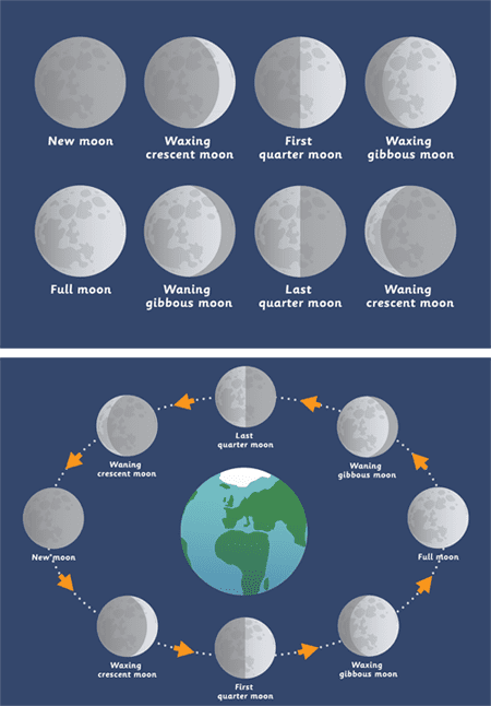 Phases of the Moon Posters