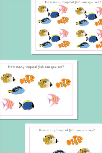 Counting / Estimating Flash Cards - Fish