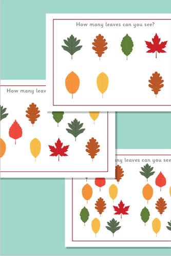 Counting / Estimating Flash Cards - Leaves