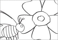 Minibeasts Colouring In Sheets – Mindfulness Resource