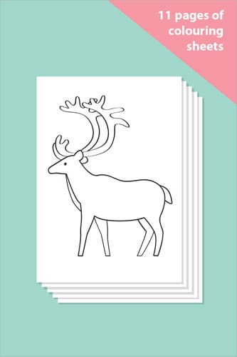 Wild Animal Colouring In Sheets - Mindfulness Resource