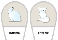 Editable Polar Animal Fans