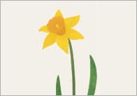 Daffodil Editable Poster