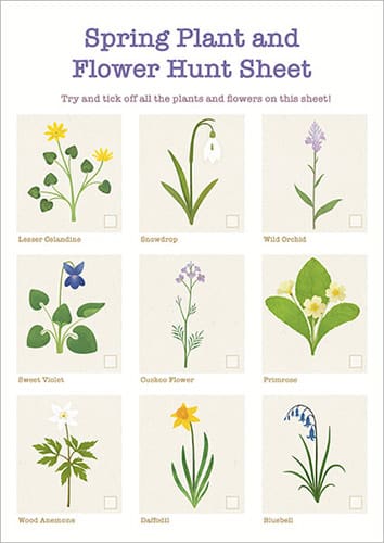 Spring Plant & Flower Hunt Activity Sheet