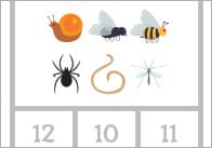 Minibeast Count & Peg Activity (Numbers 1-20)